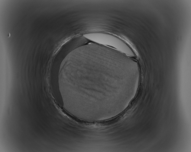 X0000084530385200703231657