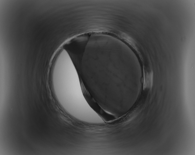 X0000084530387200703231657