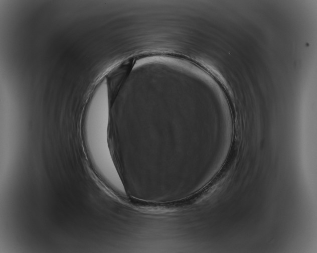 X0000084530389200703231657