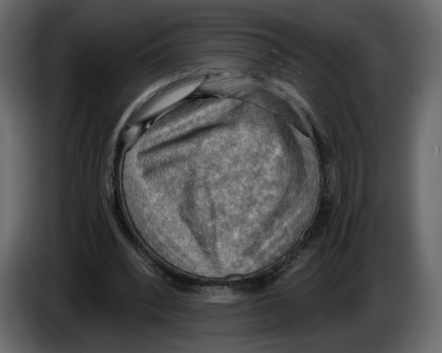 X0000084530392200703231657