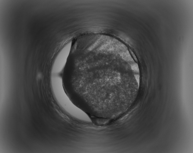 X0000084530393200703231657
