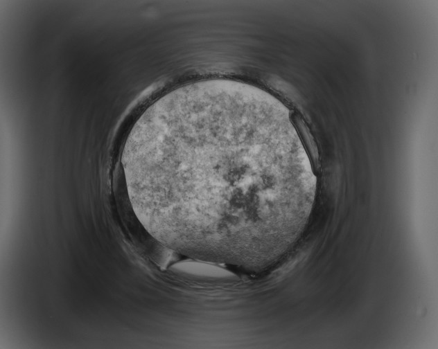 X0000084530395200703231657