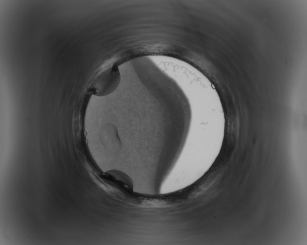 X0000084530397200703231657