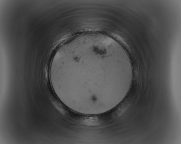 X0000084530398200703231657