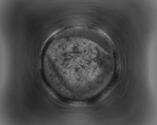 X0000084530399200703231657