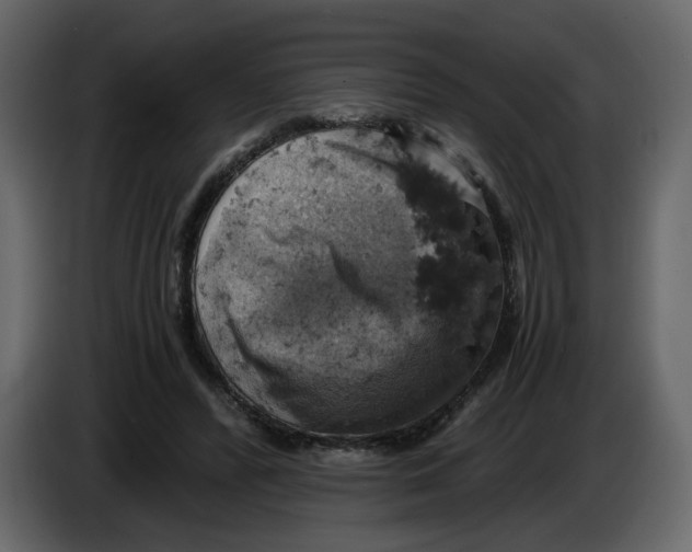 X0000084530400200703231657