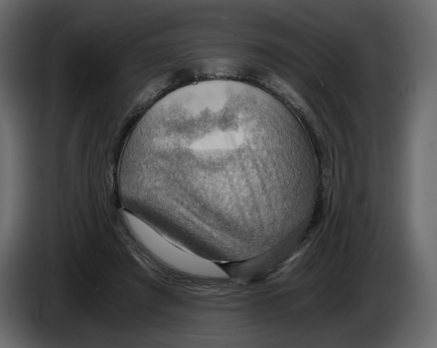 X0000084530401200703231657