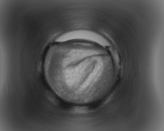 X0000084530403200703231657