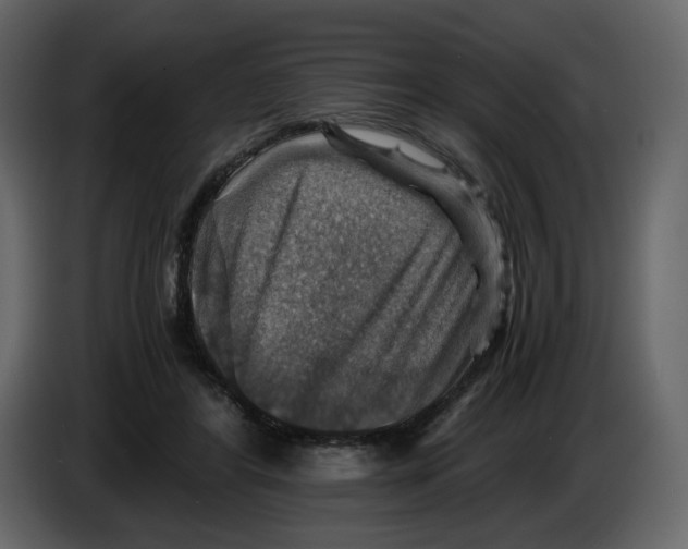 X0000084530404200703231657