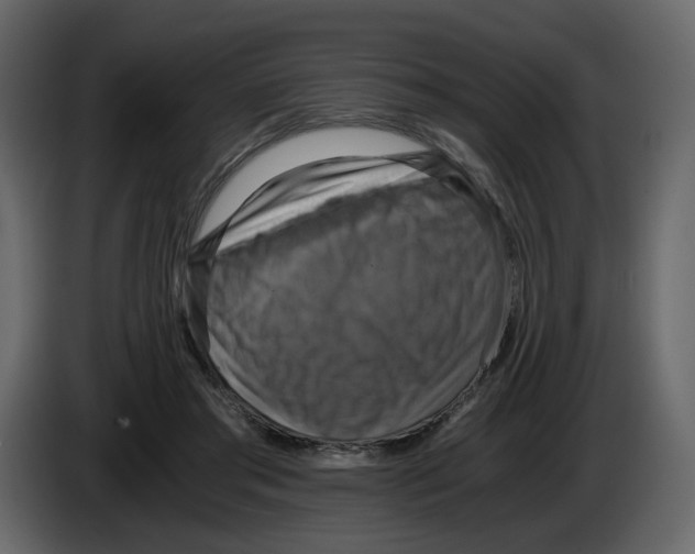 X0000084530405200703231657