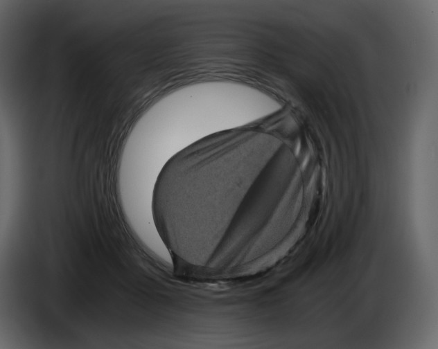X0000084530411200703231657