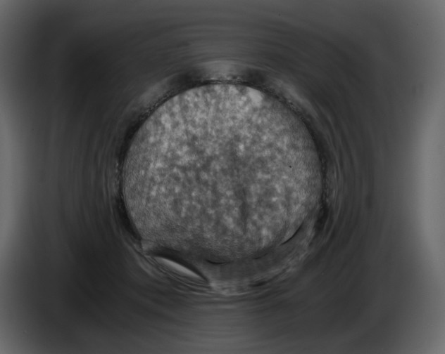 X0000084530413200703231657