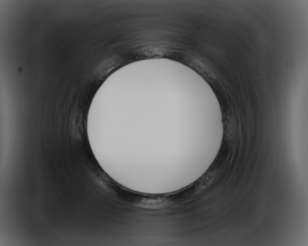 X0000084530414200703231657