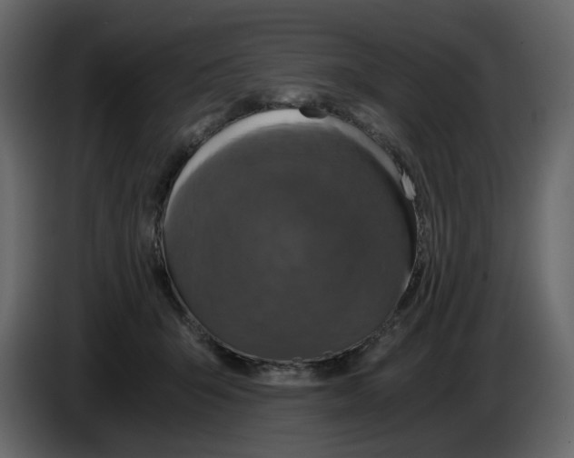 X0000084530415200703231657