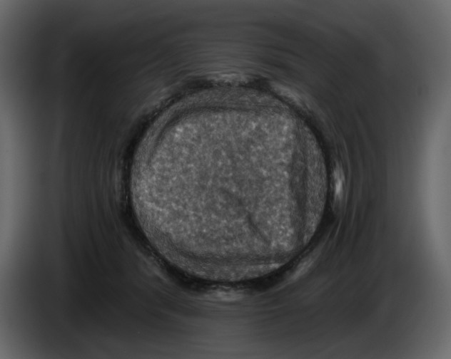 X0000084530416200703231657