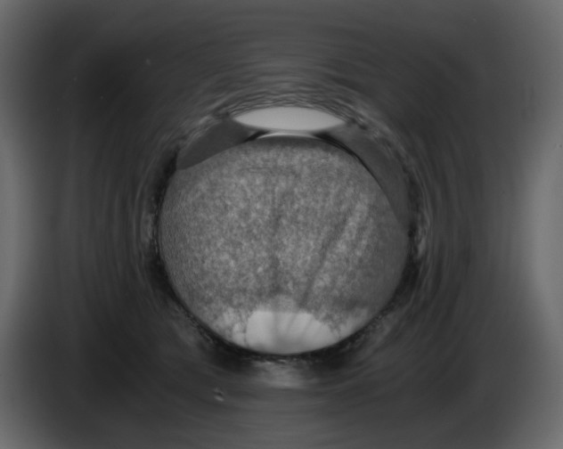 X0000084530417200703231657