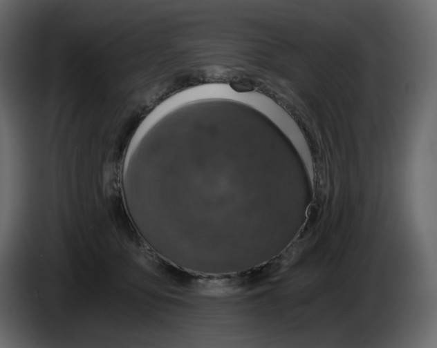 X0000084530419200703231656
