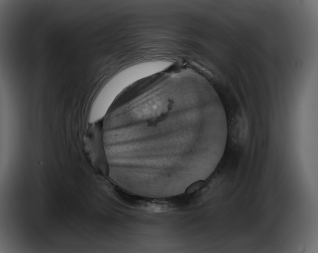 X0000084530420200703231656