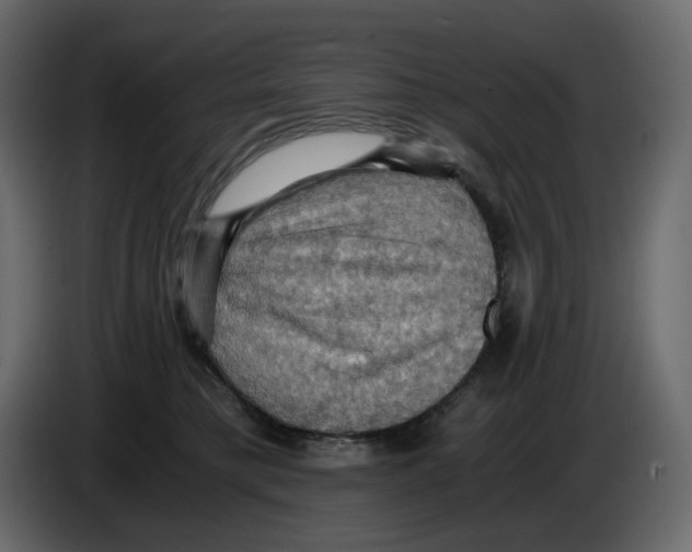 X0000084530421200703231656