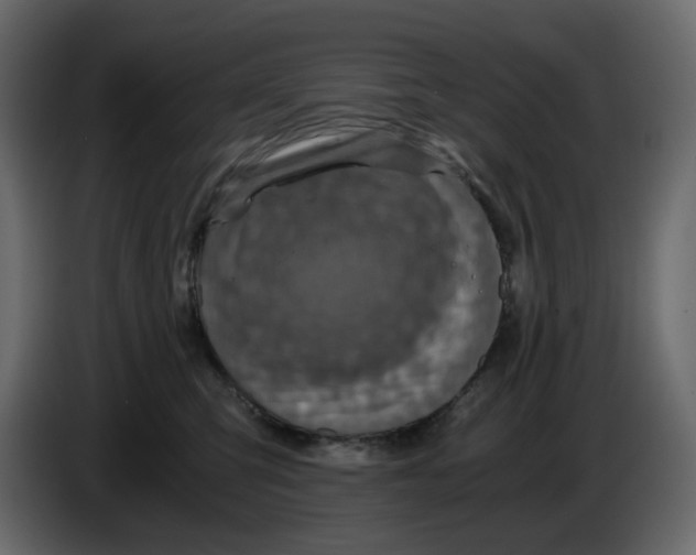 X0000084530423200703231656