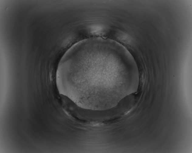 X0000084530424200703231656