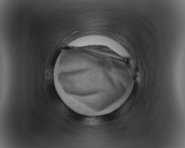 X0000084530425200703231656