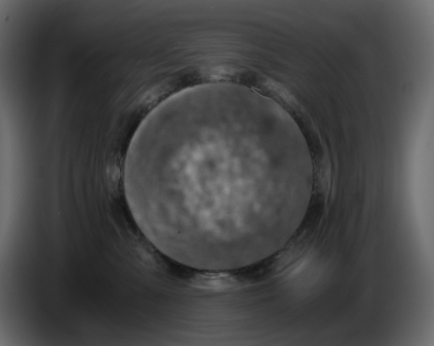 X0000084530427200703231656