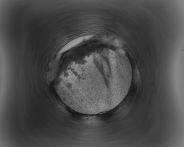 X0000084530428200703231656