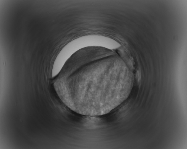 X0000084530429200703231656