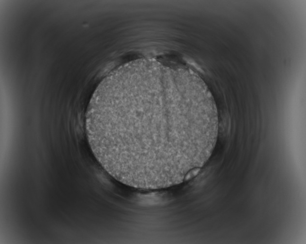 X0000084530430200703231656