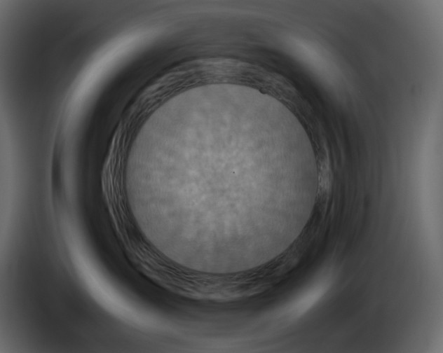 X0000084530431200703231656