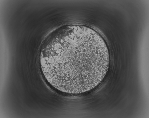 X0000084530433200703231656