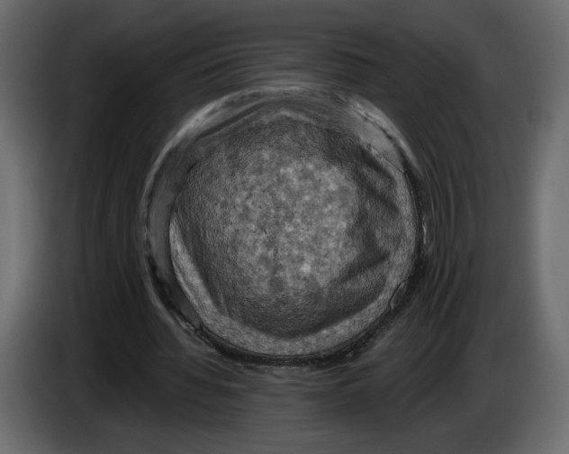 X0000084530436200703231656