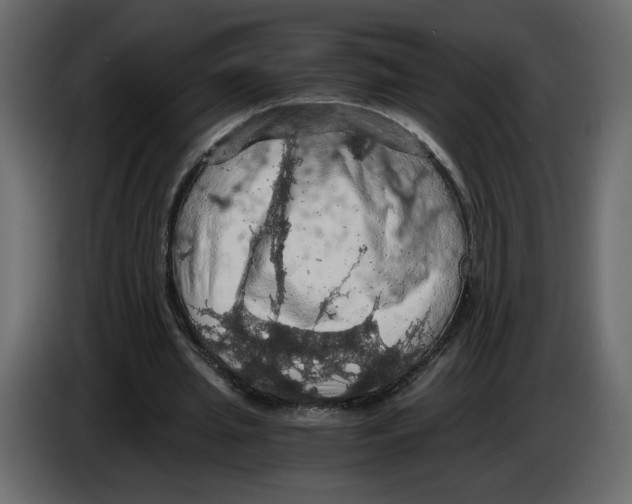 X0000084530437200703231656