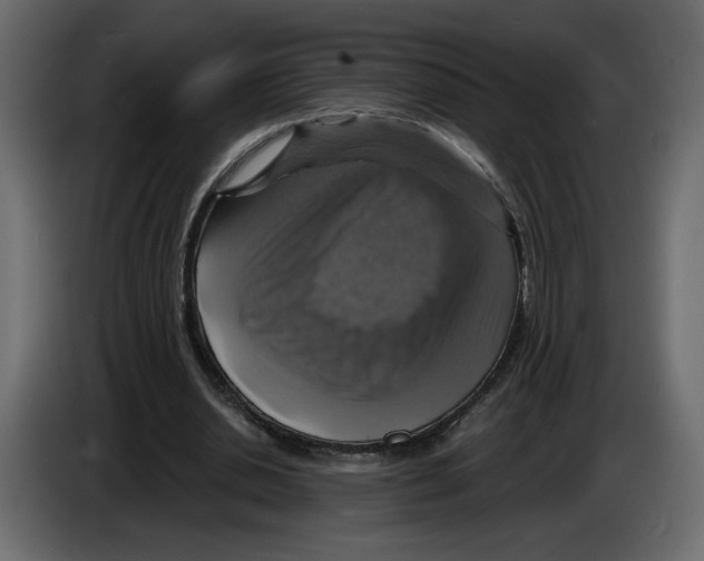 X0000084530438200703231656