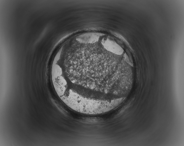 X0000084530439200703231656