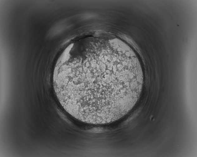 X0000084530441200703231656