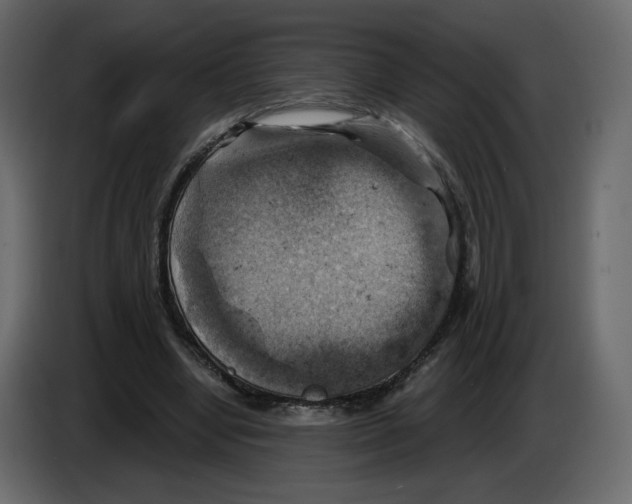 X0000084530442200703231656