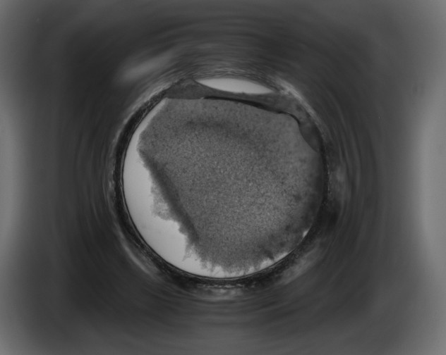 X0000084530443200703231656