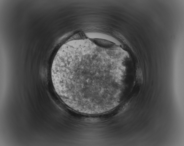 X0000084530444200703231656