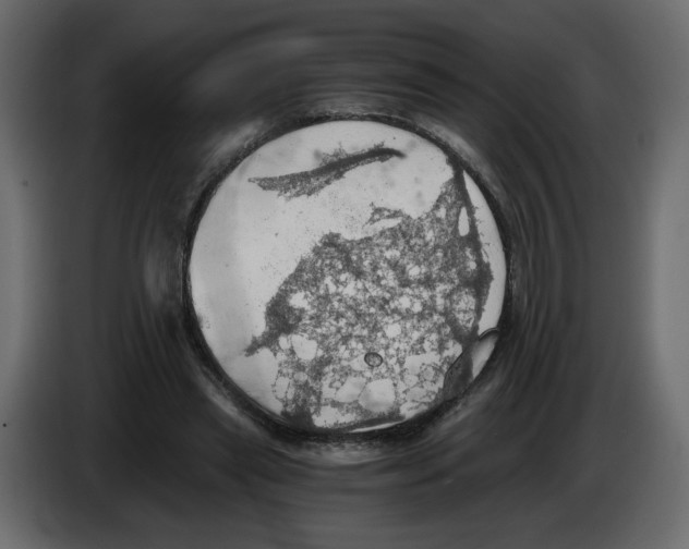 X0000084530445200703231656