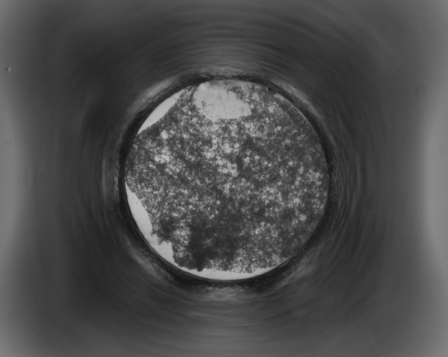 X0000084530446200703231656