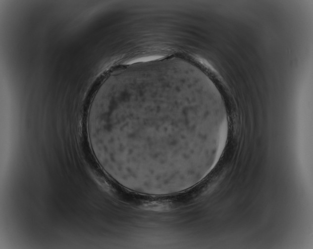X0000084530447200703231656