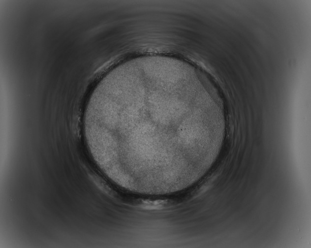 X0000084530450200703231656