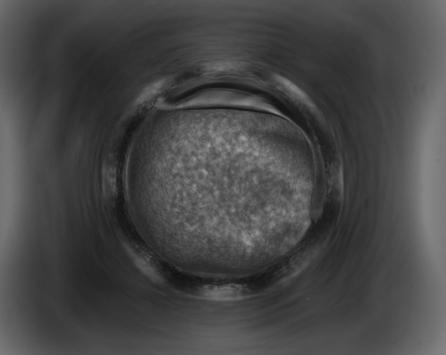X0000084530452200703231656