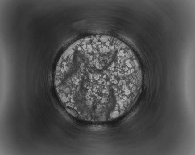 X0000084530453200703231656