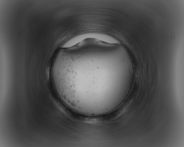 X0000084530454200703231656