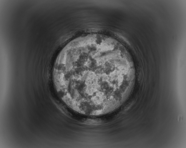 X0000084530455200703231656