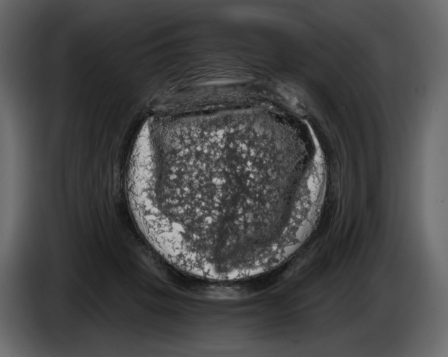 X0000084530457200703231656