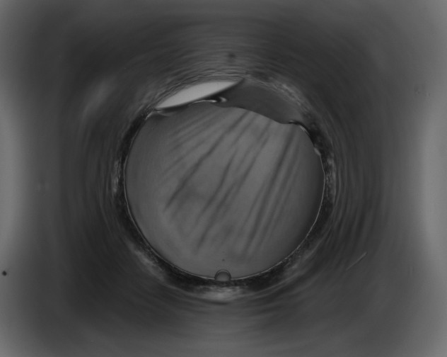 X0000084530458200703231656